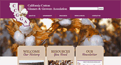 Desktop Screenshot of ccgga.org